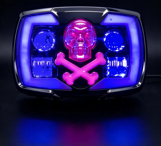 Skull panel 4x6 for CD70 and CG125