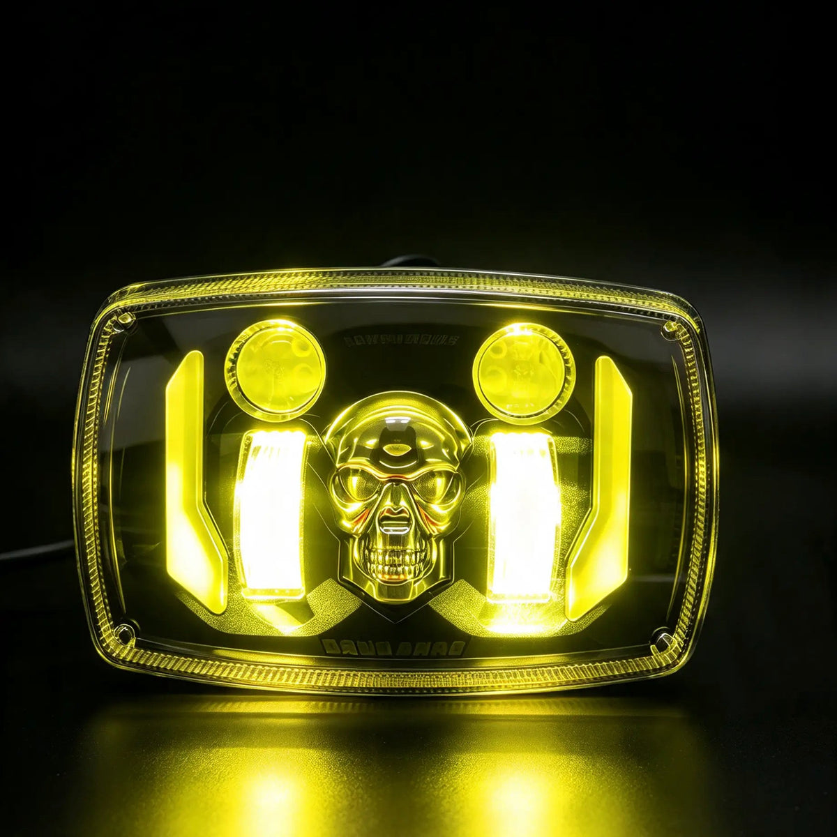 Skull pannel 2